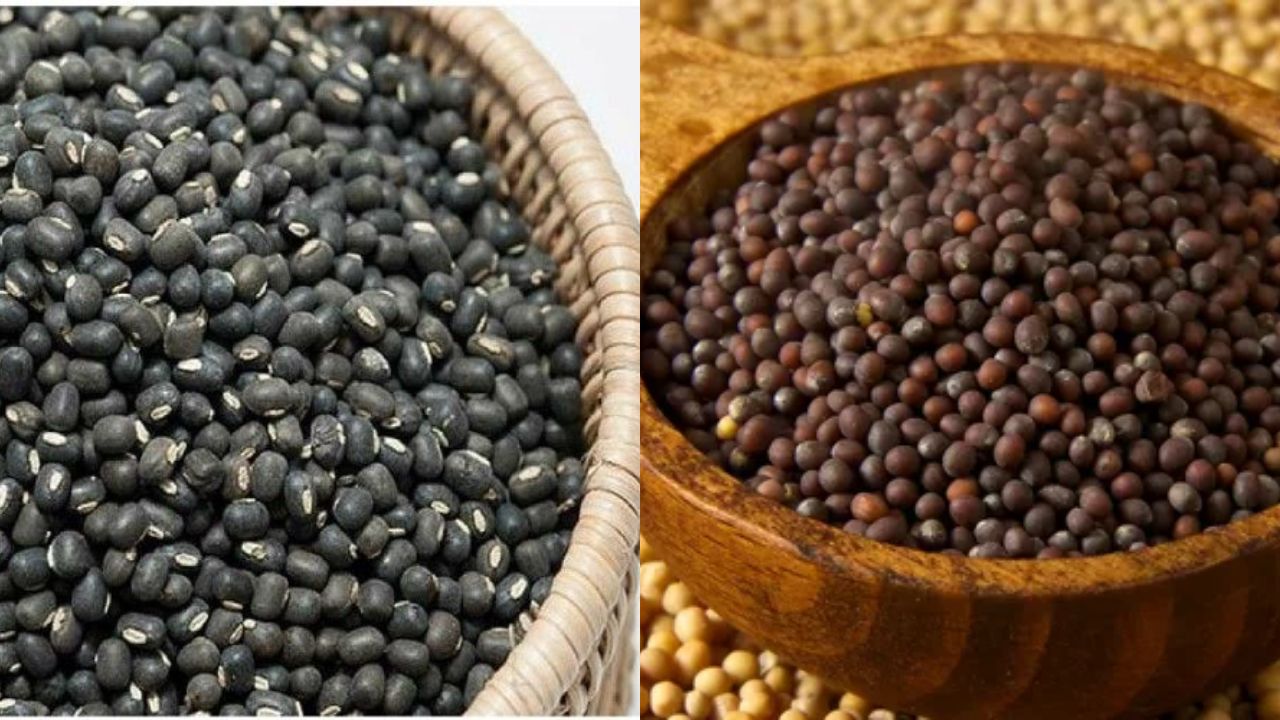 खरमास में उड़द-राई क्यों नहीं खाई जाती? जानिए क्या है धार्मिक और आयुर्वेदिक कारण