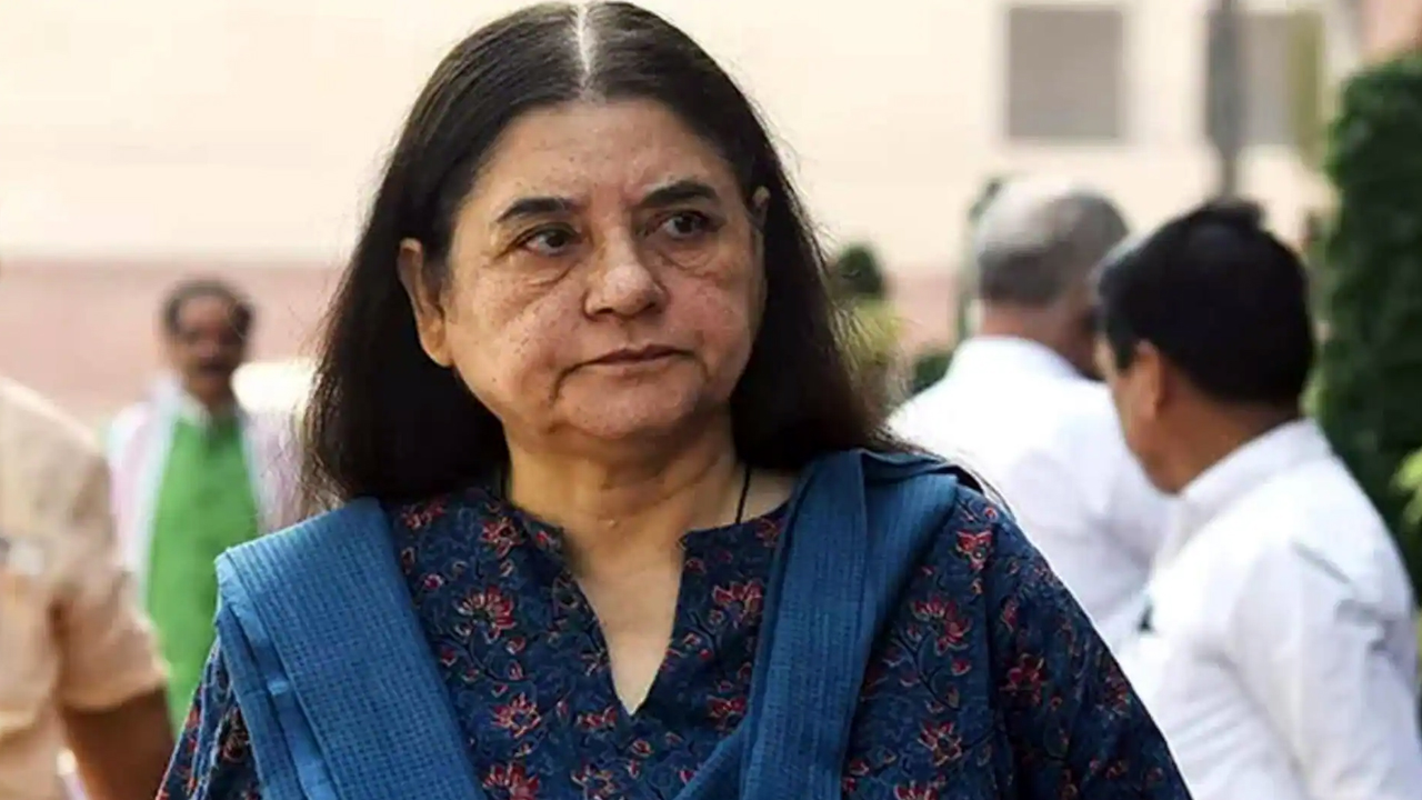 पटाखे जलाने वाले देशद्रोही&hellip;प्रदूषण के लिए दीवाली जिम्मेदार, मेनका गांधी के बयान पर छिड़ेगा संग्राम